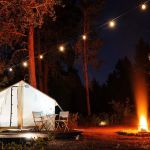 Camp Modern