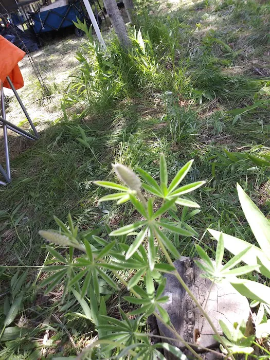 Camp Ee-Da-How Picture 4
