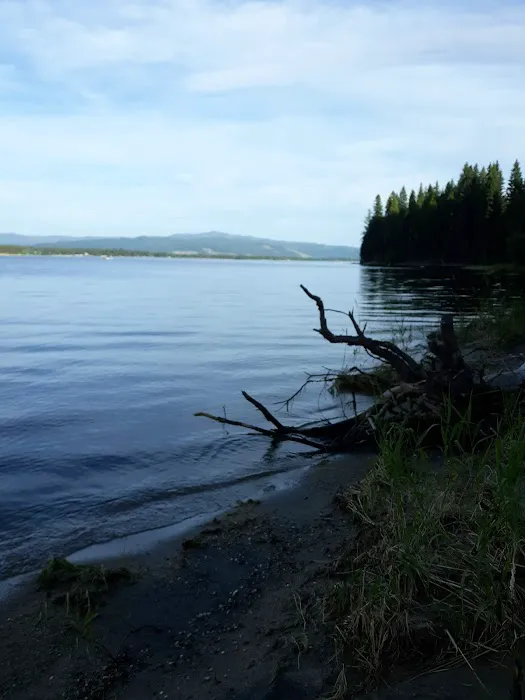 Amanita Campground Picture 1
