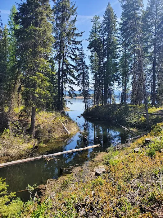 Amanita Campground Picture 6