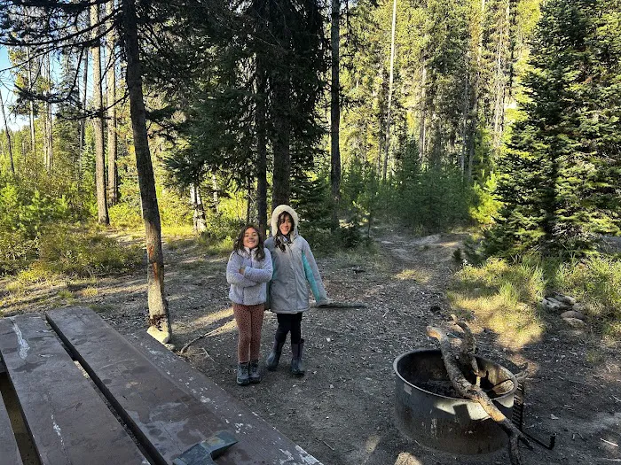 South Fork Salmon River Campground Picture 1