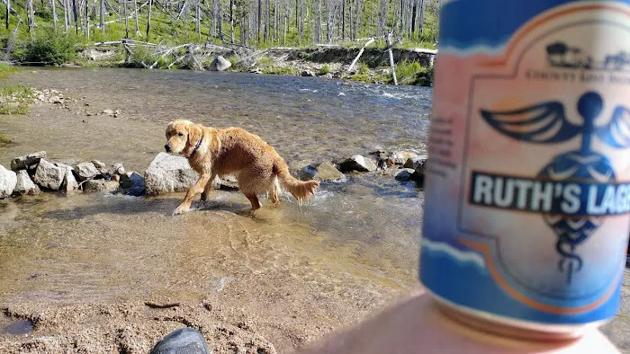 South Fork Salmon River Campground Picture 7