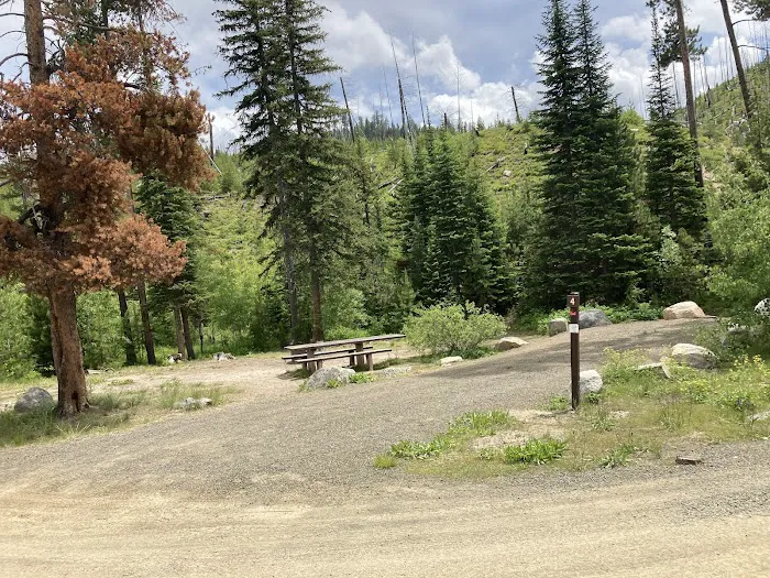 South Fork Salmon River Campground Picture 9
