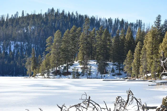 Shoreline Campground Picture 6