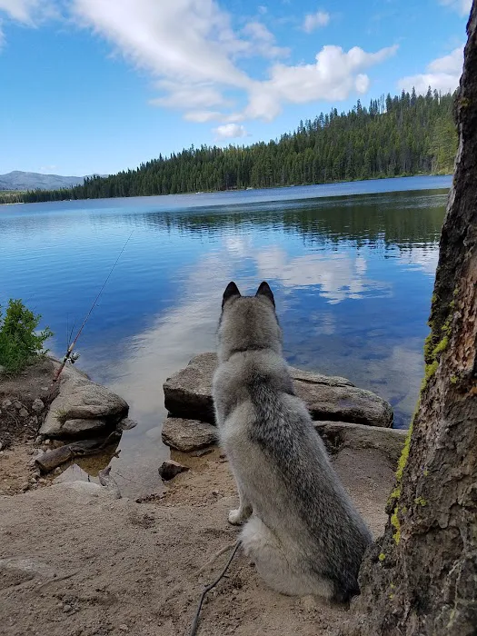 Shoreline Campground Picture 5