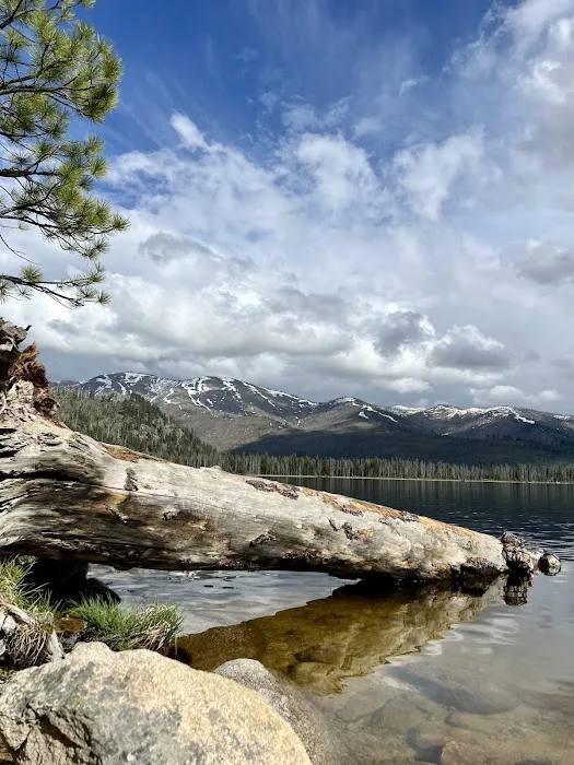 Shoreline Campground Picture 9
