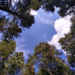 Spring Creek Campground