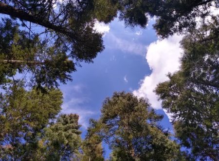 Spring Creek Campground