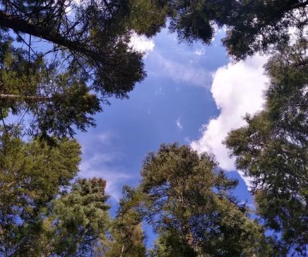 Spring Creek Campground