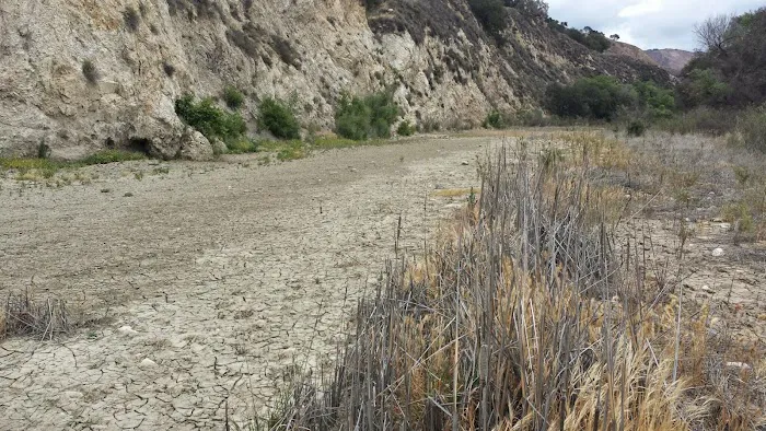 Paradise Campground Picture 3