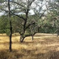 Paradise Campground ico