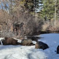 Kiwanis Campground ico