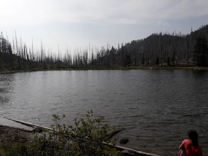 Summit Lake Campground Picture 1