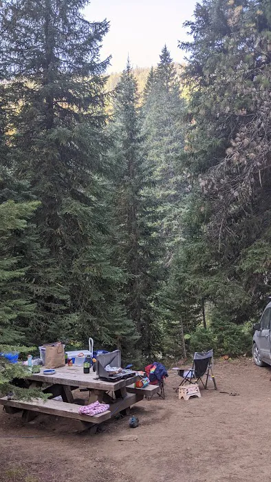 Turkey Flat Forest Camp Picture 1