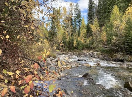 Hurricane creek campground
