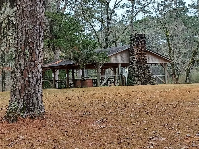 Boles Field Campground - Sabine National Forest Picture 2