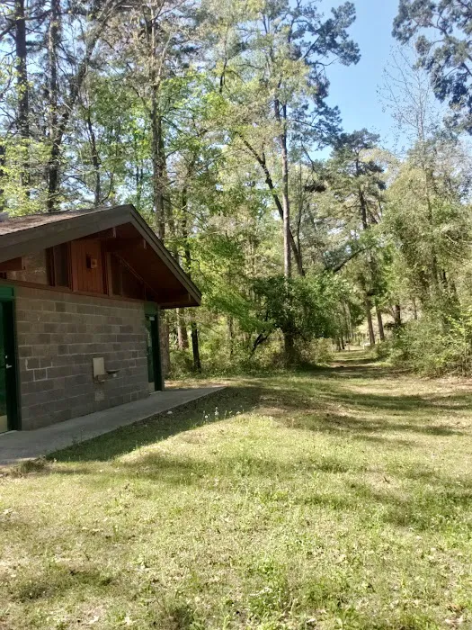 Boles Field Campground - Sabine National Forest Picture 5