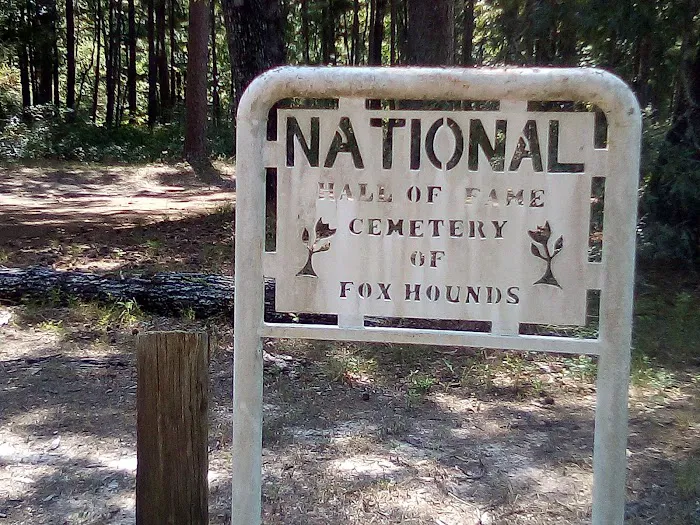 Boles Field Campground - Sabine National Forest Picture 10