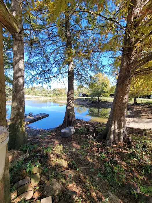 Bill's Landing Picture 7