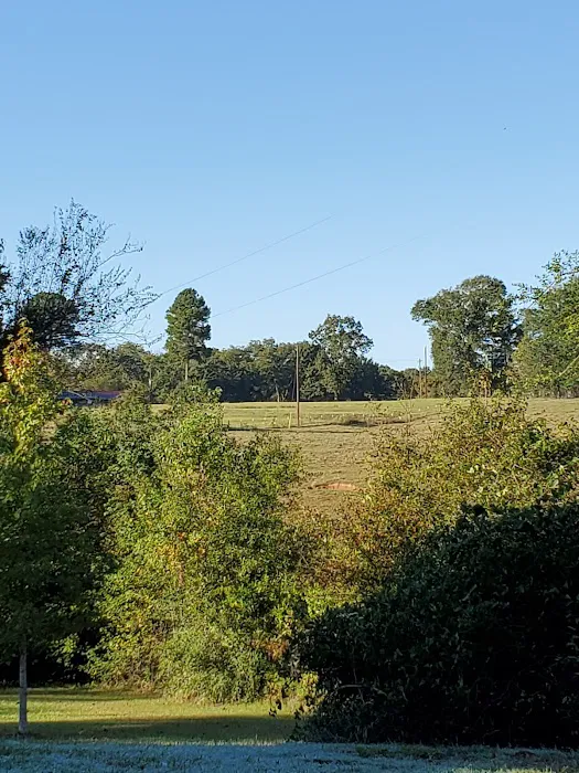 Bill's Landing Picture 9