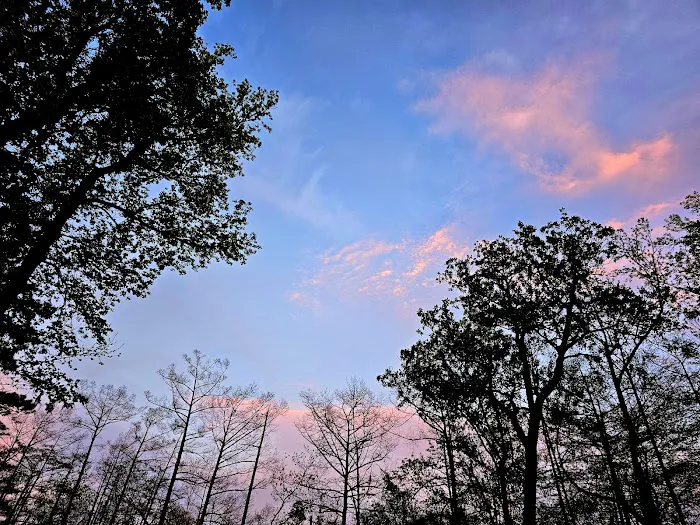 Magnolia Ridge Park Campground Picture 1