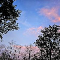 Magnolia Ridge Park Campground ico