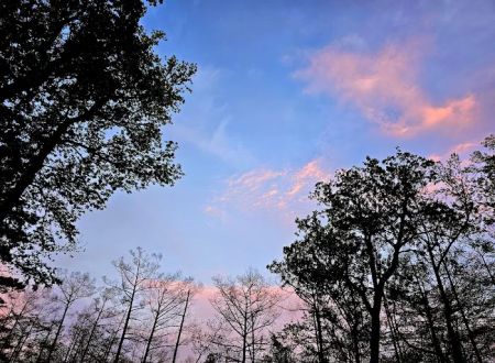 Magnolia Ridge Park Campground