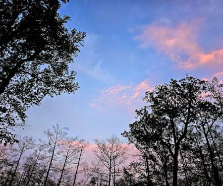 Magnolia Ridge Park Campground