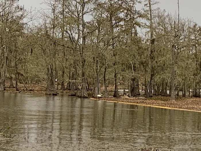 Magnolia Ridge Park Campground Picture 4
