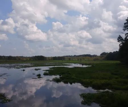 Hen House Ridge Unit