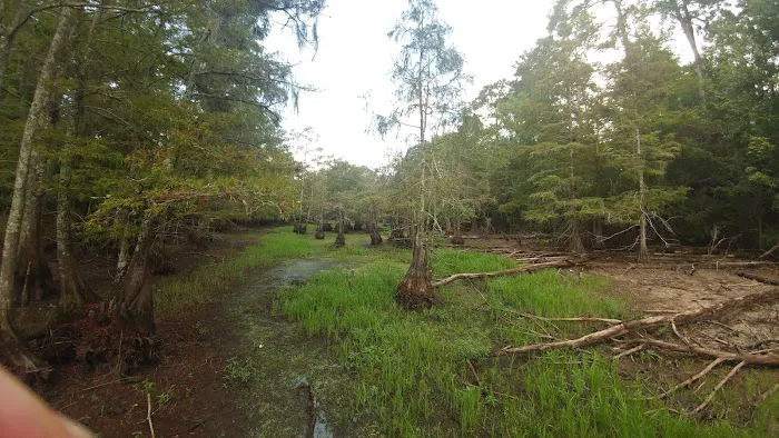 Hen House Ridge Unit Picture 5