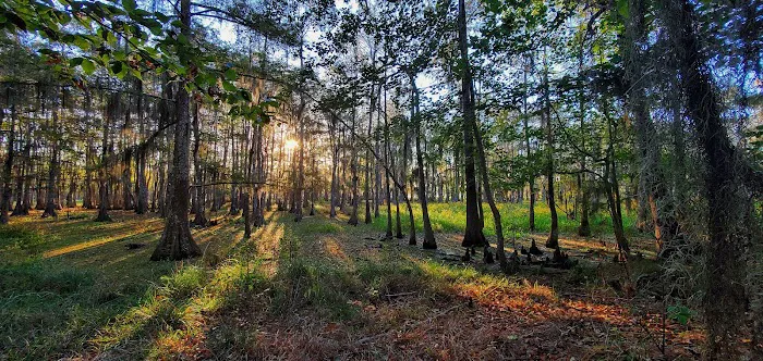 Magnolia Ridge Picture 1