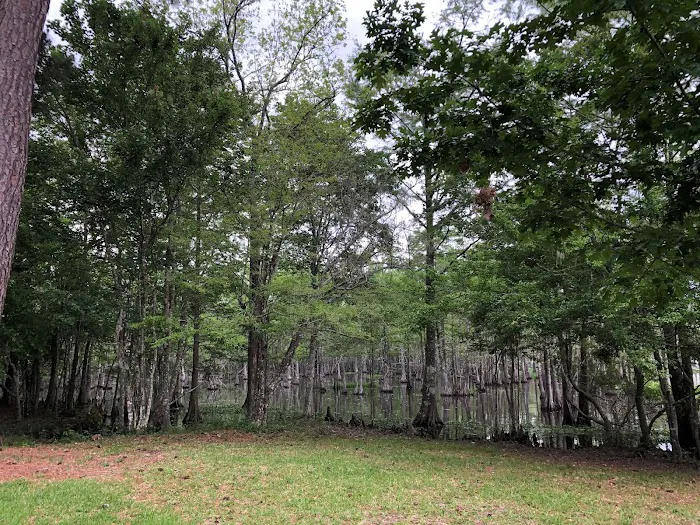 Magnolia Ridge Picture 5