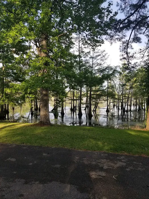 Magnolia Ridge Picture 4
