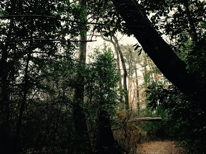 Magnolia Ridge Picture 6