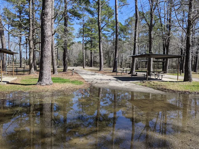 Sandy Creek Picture 1
