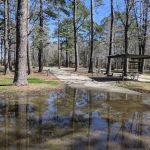 Sandy Creek
