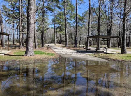 Sandy Creek