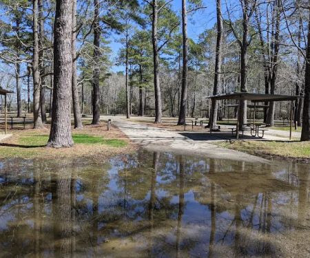 Sandy Creek