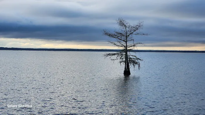 Sandy Creek Picture 8