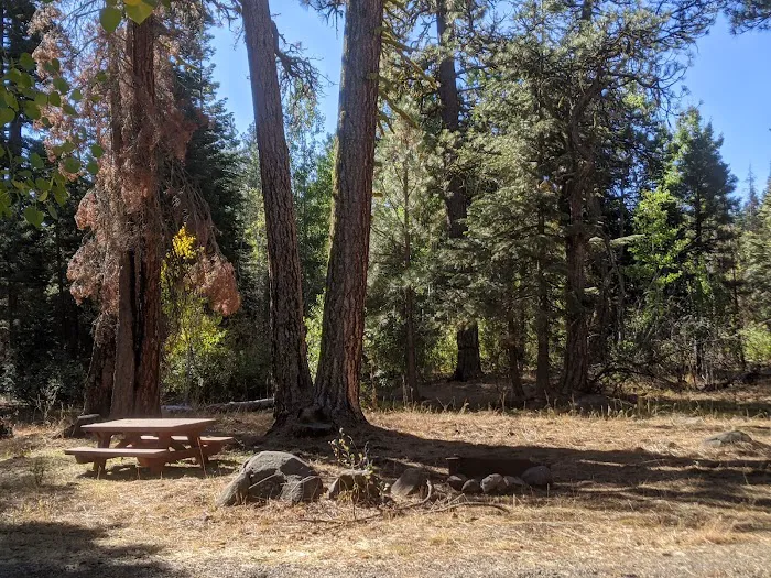 Twin Springs Forest Camp Picture 2
