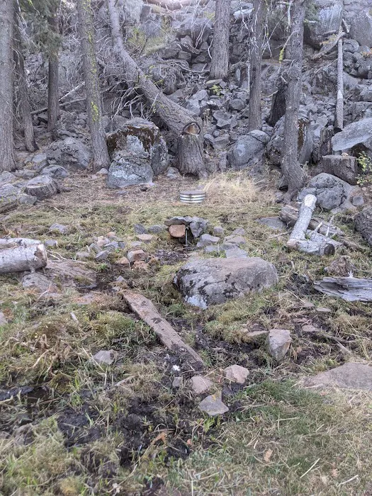 Twin Springs Forest Camp Picture 3