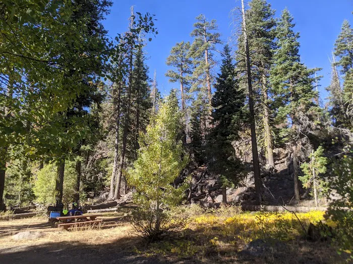 Twin Springs Forest Camp Picture 4