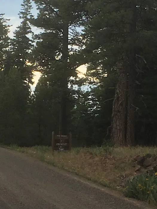 Twin Springs Forest Camp Picture 7