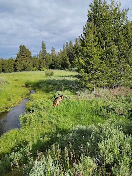 Mud Creek Campground Picture 3