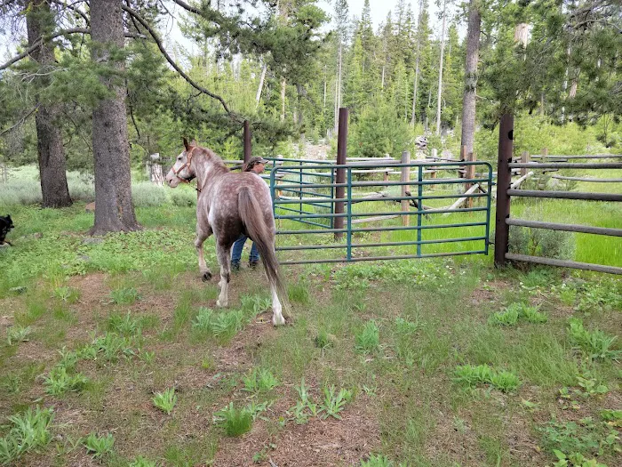 Mud Creek Campground Picture 4