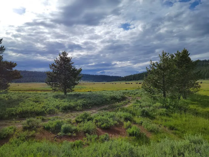 Mud Creek Campground Picture 2