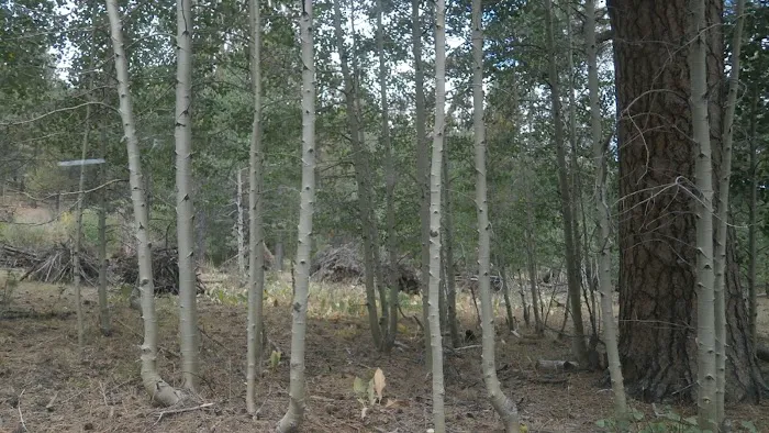 Willow Creek Campground Picture 2