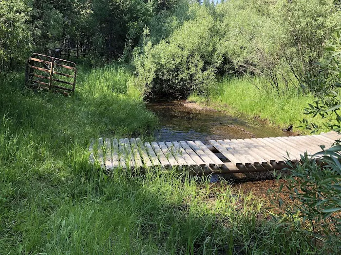 Willow Creek Campground Picture 4
