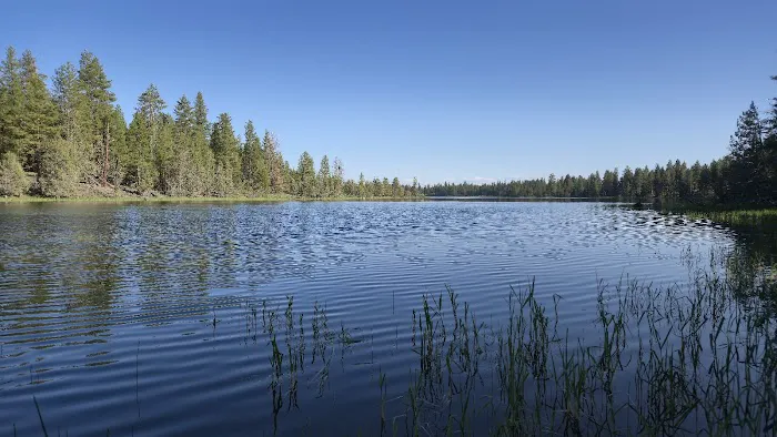 Jane's Reservoir Campground Picture 1